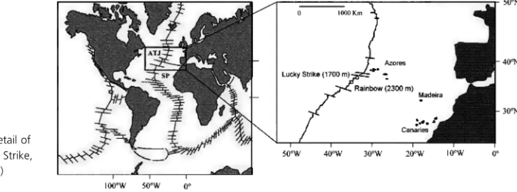 Fig. 1. Location of vent fields with detail of the Azores Triple Junction area (Lucky Strike, and Rainbow hydrothermal vent fields) (adapted from Bebianno et al