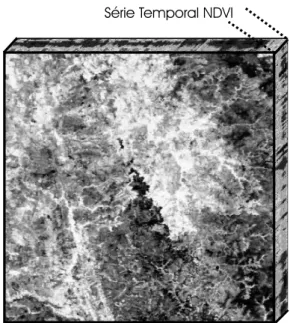 Figura 2 – Imagem do cubo 3D relativo `a s´erie temporal NDVI do sensor MODIS.