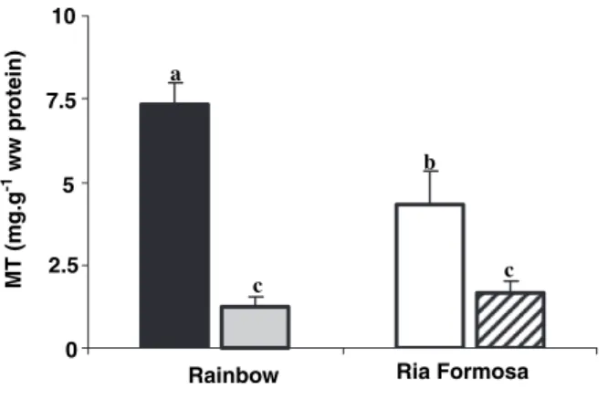 Fig. 2. Metallothionein concentrations (MT) in the edible tissues of hydrothermal (Rimicaris exoculata and Mirocaris fortunata) and coastal shrimp (Palaemon elegans and Palaemonetes varians)
