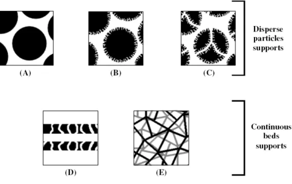 Figure  2. Schematic  representation  of  the  physical  and  structural  properties  of  the  constituent  materials  of  the  different  chromatographic  supports