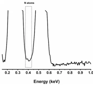 Figure 3- EDX analysis of the beads modified with arginine. 