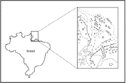 Figura 1   Mapa esquemático apresentando a localização e o arcabouço estrutural da Bacia da Foz do Amazonas (OLIVEIRA, 2003).