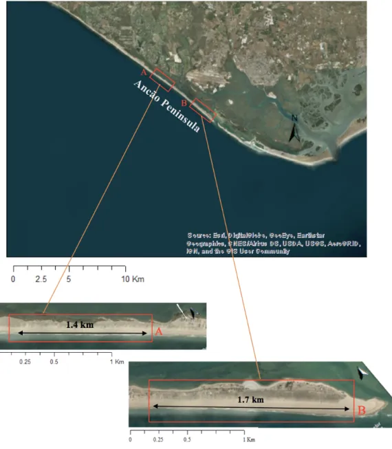 Figure 4.1: Close up view (upper panel) of the study area of Ancão Peninsula, including the two parts of interest  (sectors A: western and B: eastern) at the lower panels (map: www.bing.com/maps).