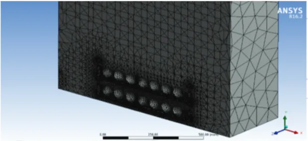 Figure 3: Cut section of the computational mesh of cold chamber.
