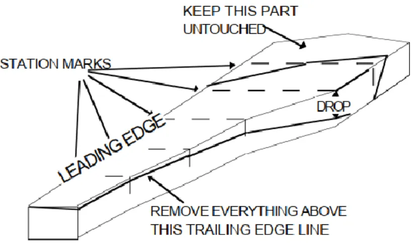 Figure 3.4: Schematic view of the twisted windward face [35].