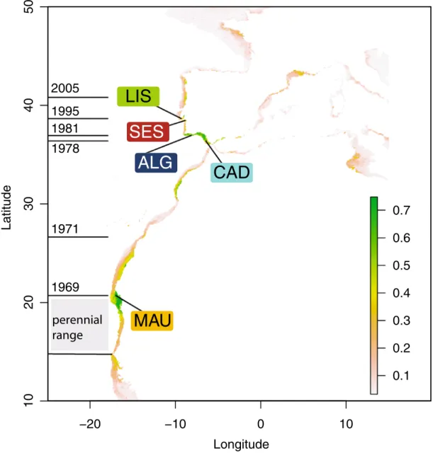 Figure 1.  Present-day distributional range, sample locations and consensus modeled distribution of the Senegal  seabream (Diplodus bellottii) in Northern West Africa and Iberia