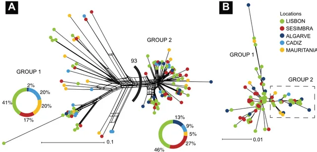 Figure 4.  Neighbour-net networks based on 124 mitochondrial DNA CR sequences (a) and 96 S7 nuclear  DNA (b) of Diplodus bellottii