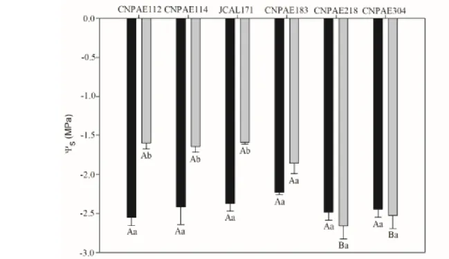 Fig.  4.  Osmotic  potential  of  six  genotype  of  young  plants  of  Jatropha  curcas  under  750  mM,  sampled  in  48  hours,  maximum  stress  (black  bars)  and  914  hours,  recovery  (gray  bars)
