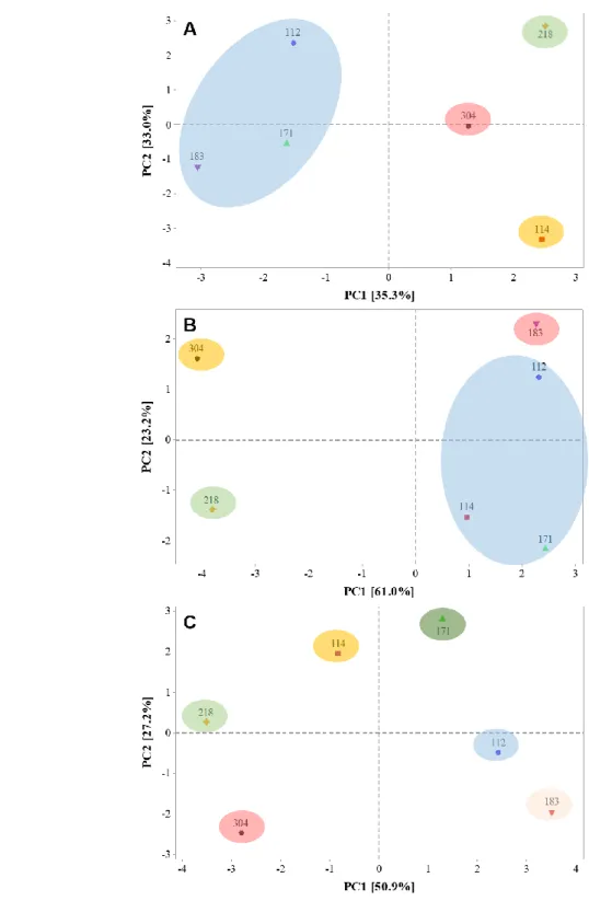 Fig. 5. Principal component analysis (PCA) of the physiological and nutritional parameters of six genotypes of Jatropha  curcas