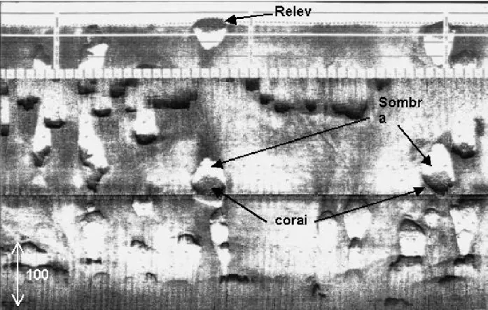 Figura 2 - Exemplo de um registro de sonar de varredura lateral. O registro mostra um banco de coral com lama ao redor
