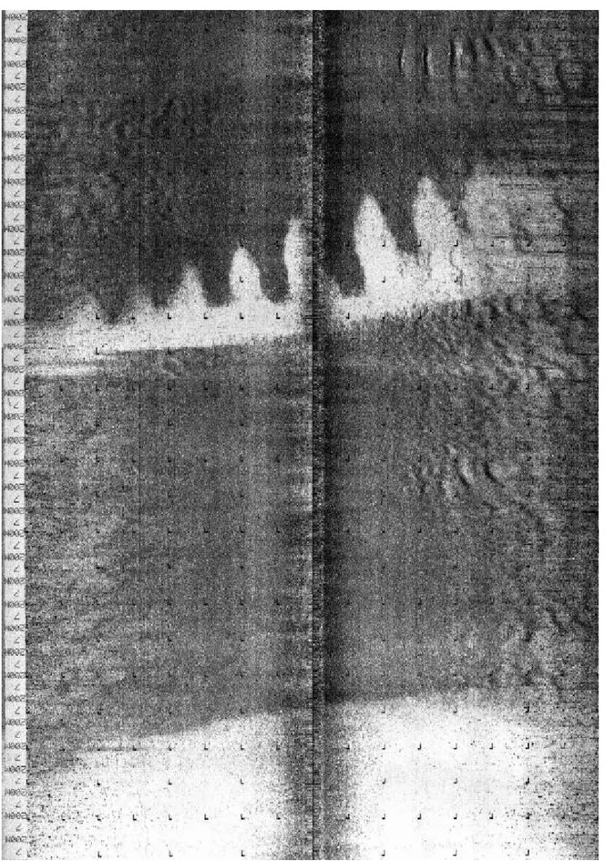 Figura 3 – Imagem de sonar de varredura lateral obtida n plataforma continental do ES, durante Expedição do Programa REVIZEE (Central II)
