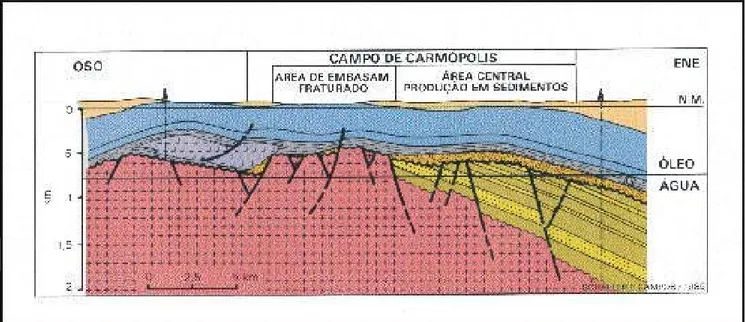 Figura 8 – Distribuição da camada evaporítica de idade Aptiana da Bacia de Sergipe (in: Viro, 1985)