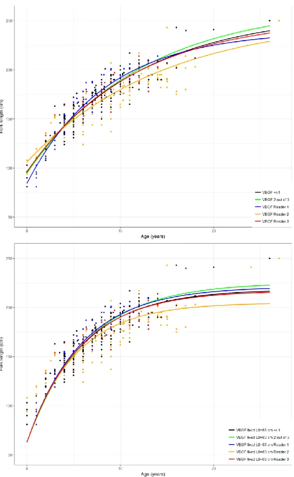 Figure 6. The von Bertalanffy growth function (VBGF) for male Isurus oxyrinchus based on age estimations by 