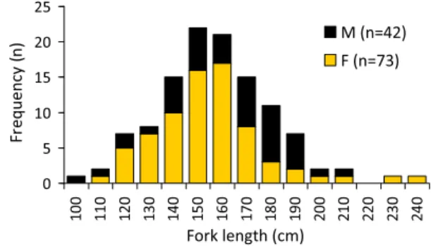 Fig 3. Length-frequency distribution of the sample of A. superciliosus used in this study