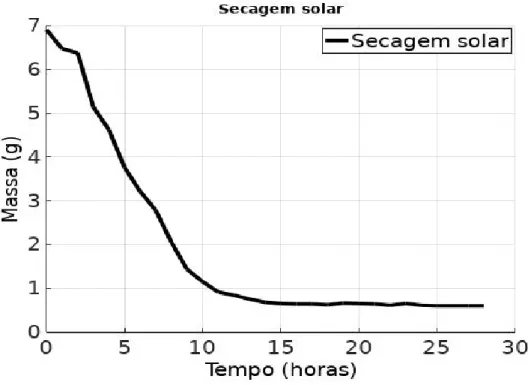 Figura 7. Massa do morango versus tempo para secagem solar. 