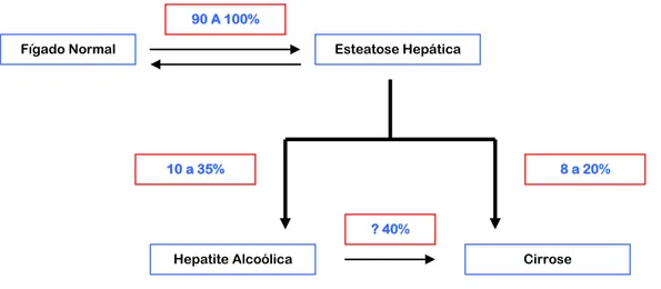 Figura nº 2 – Progressão na doença Hepática Alcoólica - Fonte: McCullough, AJ, et al, Am J Gastroenterol  1998; 93:2023