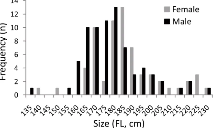 Fig. 2. Size (fork length) frequency distribution of male (n = 74) and female (n = 65) Sphyrna zygaena caught in the eastern equatorial Atlantic Ocean, between June and September 2009