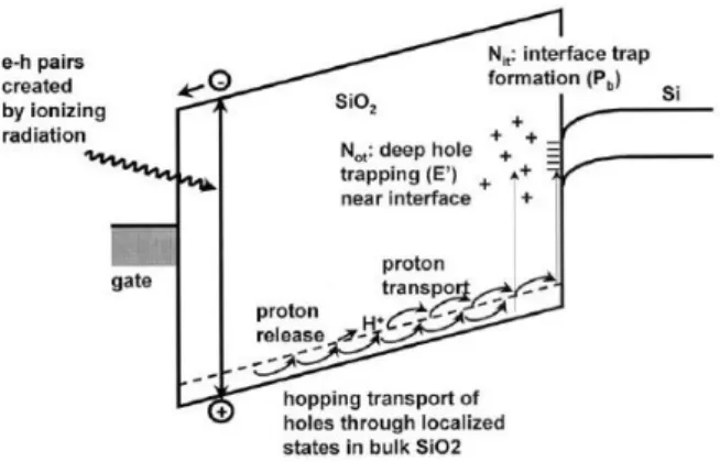 Figure 16:  Schematic Representation of the Damage Induced by Radiation in a MOS Structure [64].