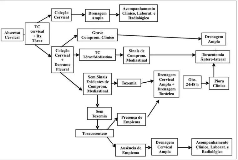 Figura 6. Algoritmo de Conduta na Infecção Cervical