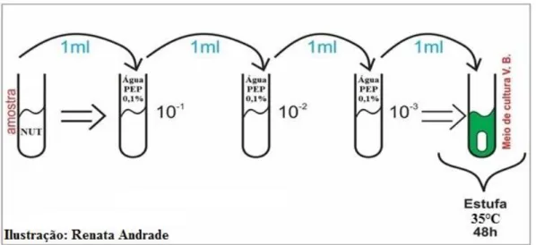 Figura 5: processo de diluição para determinação da presença ou ausência de coliformes totais