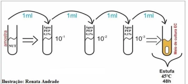Figura 6: processo de diluição para determinação da presença ou ausência de coliformes termotolerantes