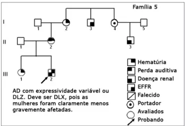 Figura 8. Heredograma família 7 - Provavelmente DLX. As mulheres  são menos afetadas, mas há poucos casos.