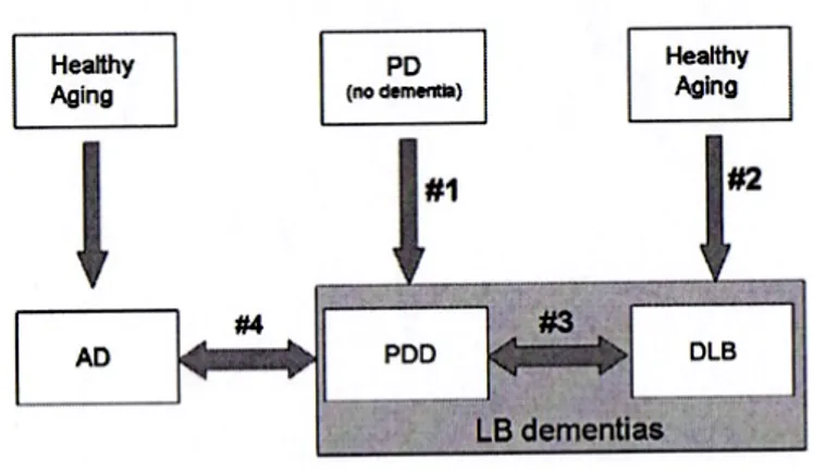 Figura 3 – Modelo proposto por Galvin (2006) para as alterações cognitivas observadas na PDD, DCL e DA