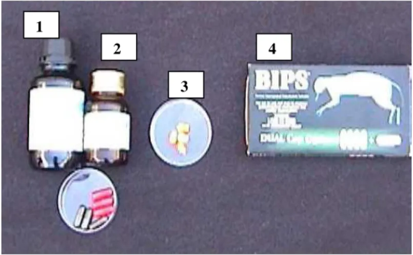 Figura 11. Biomarcadores utilizados. 