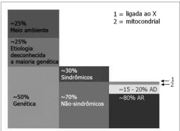 Figura 1. PASN pré-lingual: dados epidemiológicos em países desen- desen-volvidos - A subdivisão da perda auditiva por causa (coluna 1),  presen-ça ou ausência de traços associados nos casos de etiologia genética  (coluna 2) e o modo de herança no grupo nã