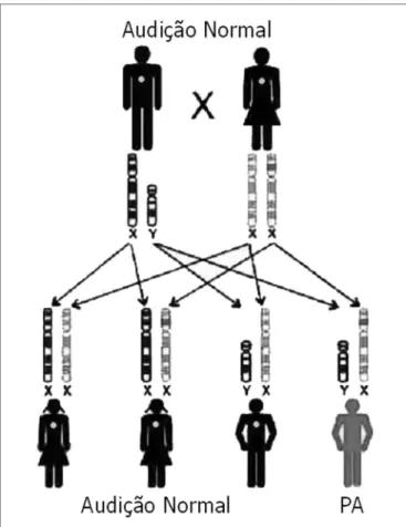 Figura 3. Modo de Herança - Esta chave representa uma mutação  recessiva Ligada ao X; as filhas que herdam a cópia alterada da mãe  não serão afetadas, pois receberam uma cópia normal do pai e os  filhos têm 50% de chance de herdar o cromossomo X alterado 