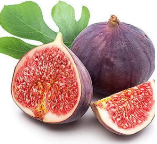 FIGO  Ficus carica  inglês  fig  francês  figue  espanhol  higo  alemão  Feige  http://dietaenutricao.com.br/figo-o-doce-sabor-que-regula-seu-colesterol/ 