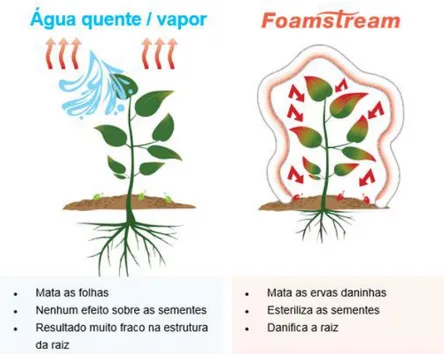 Figura 4.7– Diferenças entre o tratamento com Foamstream e sistemas de água  quente/vapor (Fonte: Catálogo Weedingtech) 