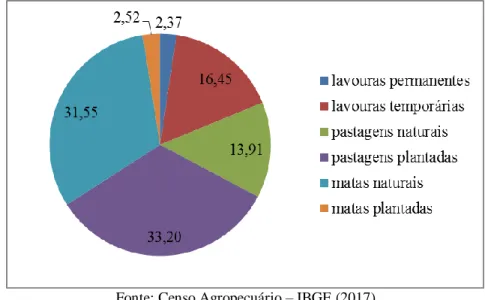 Figura 2 – Participação das atividades agropecuárias na utilização de terras (em %, de 2017)