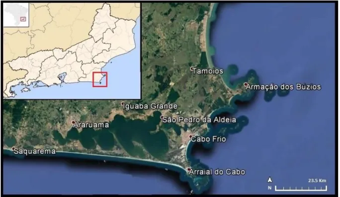 Fig. 2. Location of the study area (adapted from the Google Earth).