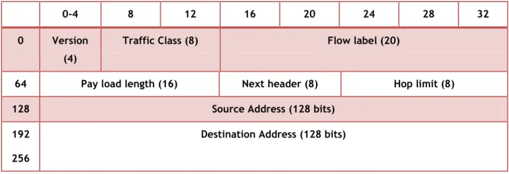 Figure 2.3 - Internet Protocol version 6 header. 