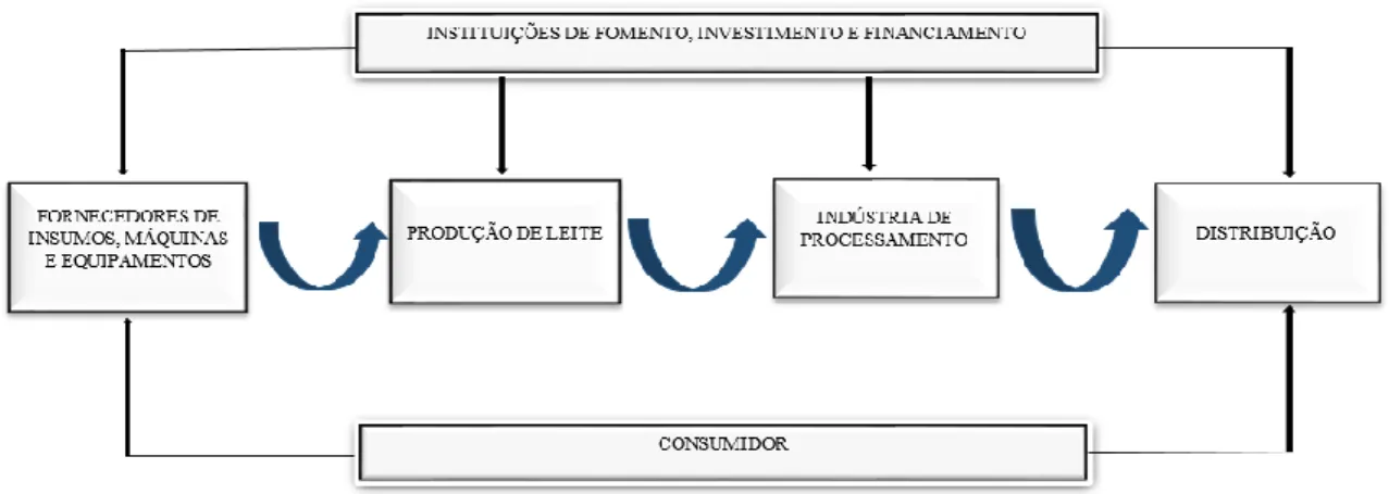 Figura 1: Estrutura da cadeia produtiva do leite no Brasil 