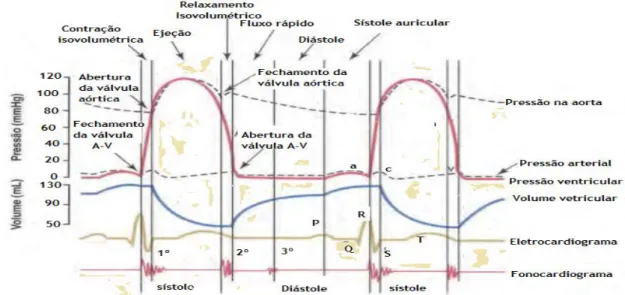 Figura 10. Explica de maneira resumida o ciclo cardíaco, as fases deste ciclo, o momento de abertura e  fechamento das válvulas, mostra as ondas do eletrocardiograma e o fonocardiograma (Guyton, 2011)