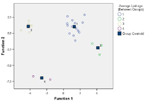 Figure 2. Map with clusters across discriminant functions  Source: SPSS 17.0 (own elaboration) 