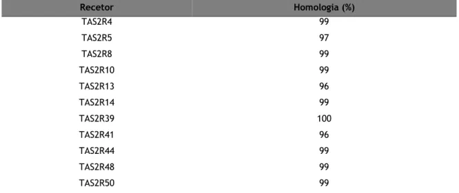 Tabela  7  –  Percentagem  de  homologia  dos  recetores  do  paladar  sequenciados  neste  trabalho,  por  comparação com a base de dados de Homo sapiens (NCBI-BLAST)