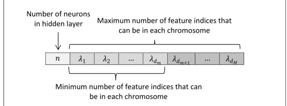 Figure 4. The topology of the chromosome 