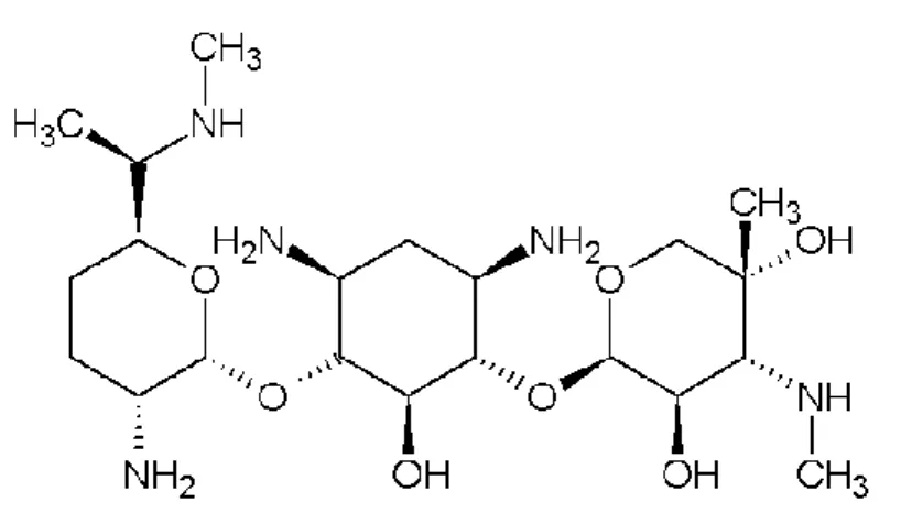 Tabela 2: Propriedades físico-químicas da gentamicina [15]. 