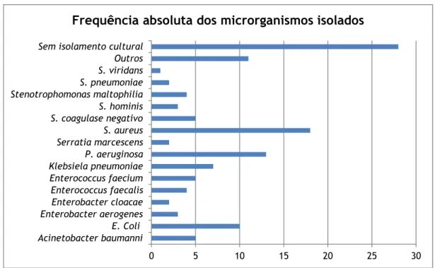 Gráfico 3: Microrganismos isolados nos doentes monitorizados. 