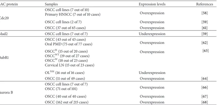 Table 1: Expression levels of core spindle assembly checkpoint components in oral squamous cell carcinoma.