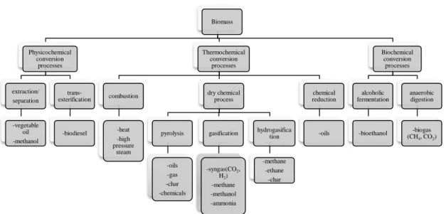 Figure 2 Schematic synthesis of the different conversion processes to which biomass can be subjected (after Slesser &amp; Lewis  [1979]  and  Apeels  et  al