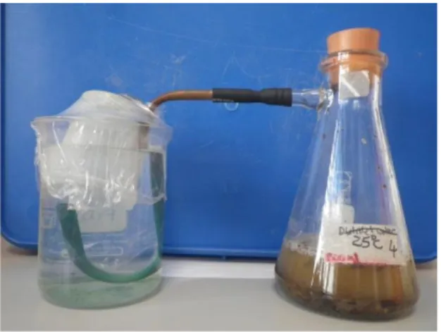Figure 5 Bioreactor system: conical flask fermenter with the gas collector on side-arm