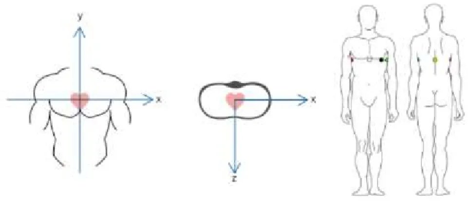 Figure 2.5 The vector ECG views the heart as a rotating dipole. Electrode Position/Vertical Axes