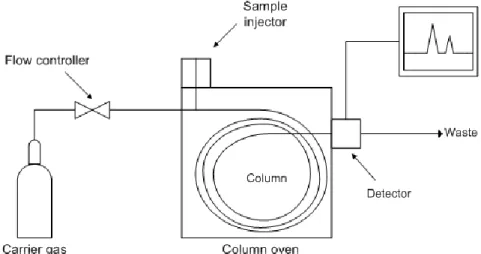 Figure 17. Diagram of a GC equipment 