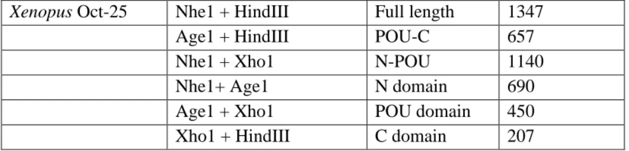 Table 2. 9- Enzymes and adaptors used to create different Oct4 fragments for each  species