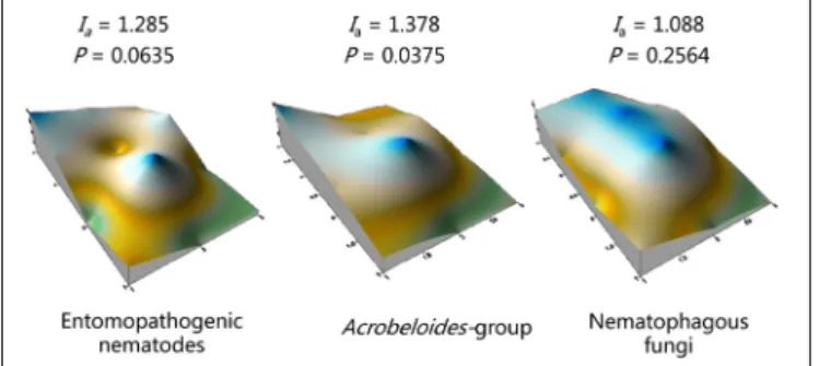 FIGURE 2 | Spatial patterns in a 10-ha citrus orchard surveyed in April 2009 using real time qPCR detection for entomopathogenic nematodes, free-living nematodes from the Acrobeloides-group, and nematophagous fungi