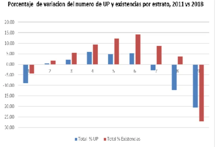 Gráfico 5: Porcentajes de variación de número de UP y existencias por estrato de tamaño, 2011 vs 2018 